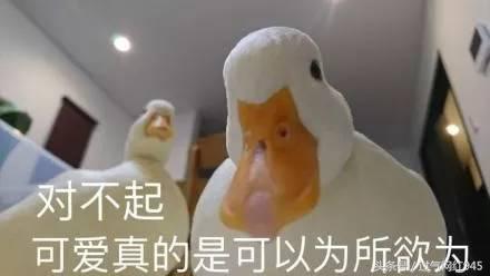 这些表情包你看完还敢用吗,这些表情包都将成为我说话的工具