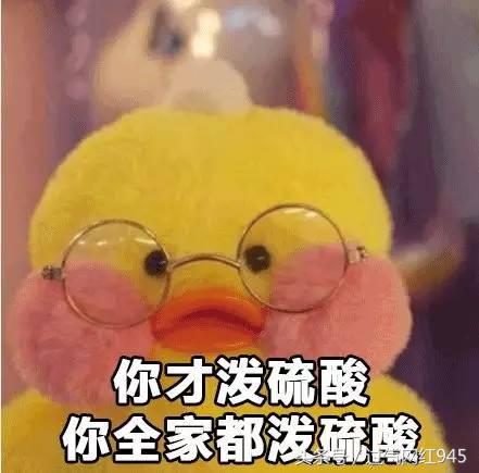 这些表情包你看完还敢用吗,这些表情包都将成为我说话的工具