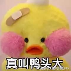 这些表情包你看完还敢用吗,这些表情包都将成为我说话的工具