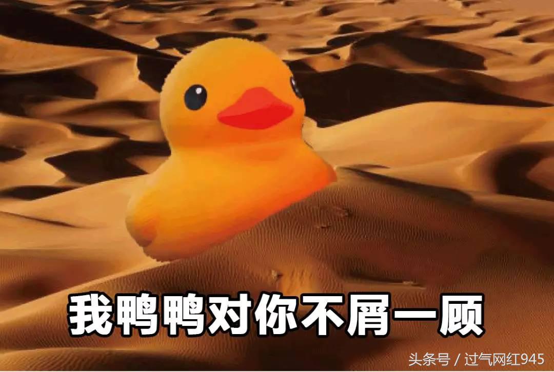 这些表情包你看完还敢用吗,这些表情包都将成为我说话的工具