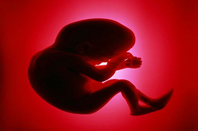 孕晚期胎宝宝会有什么危险,孕妈妈出现哪些情况需注意