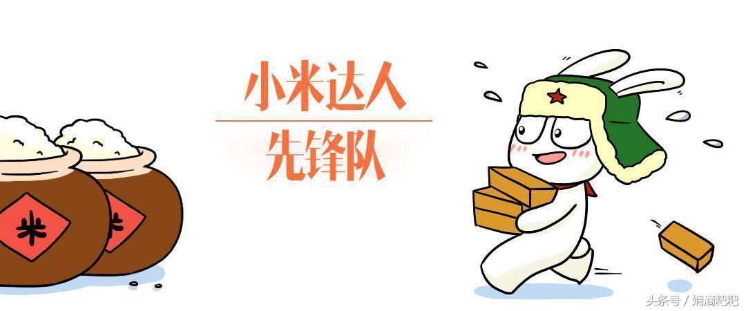 世界杯观看攻略大全,世界杯的观看指南