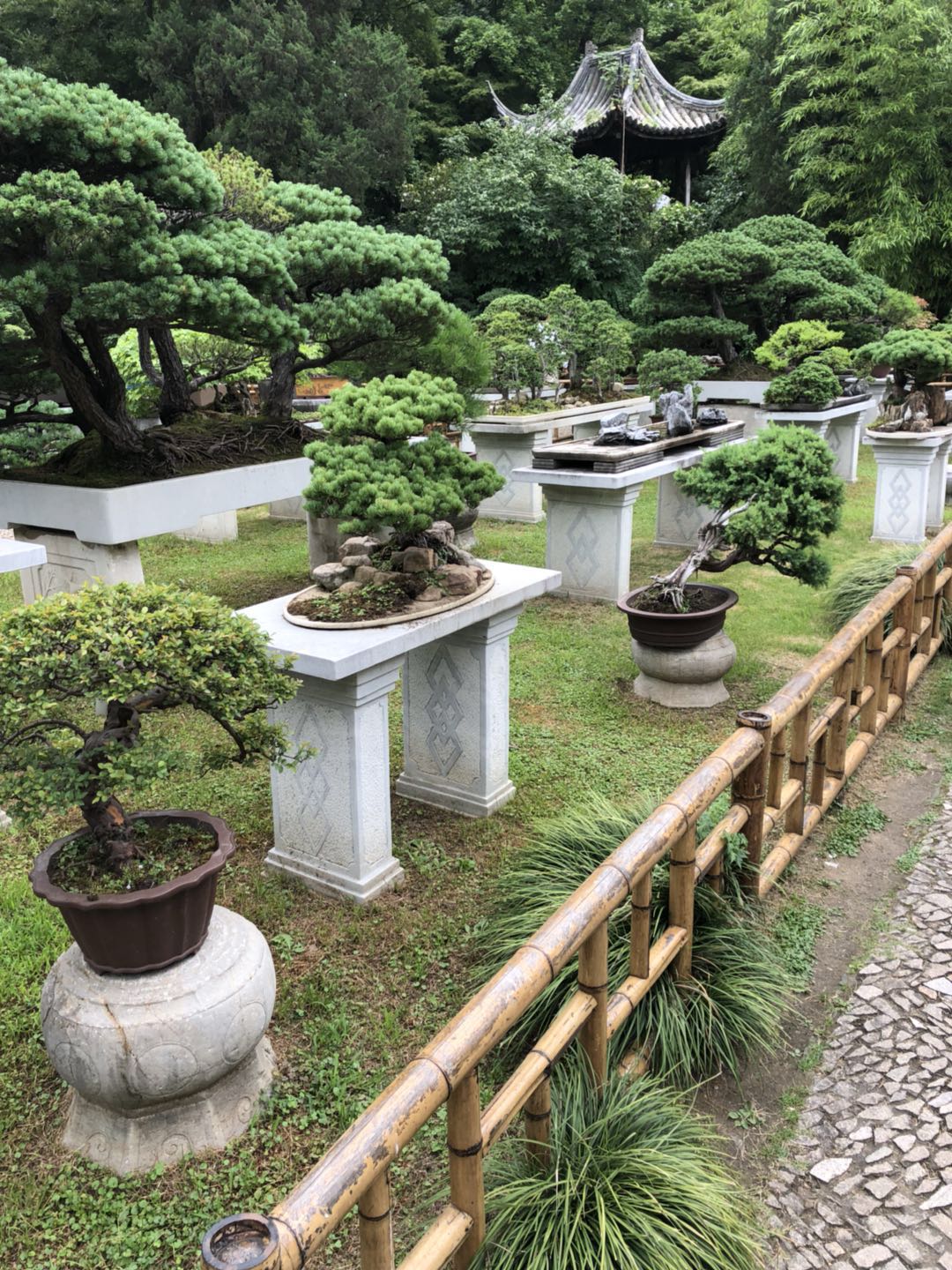 旅游团营销技巧,旅游团旅行社套路