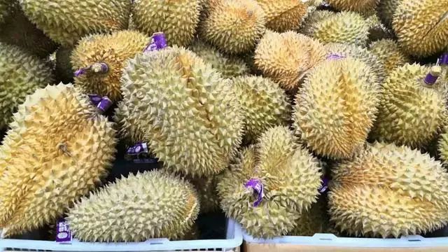 抖音上流行的网红款,抖音网红款有哪些