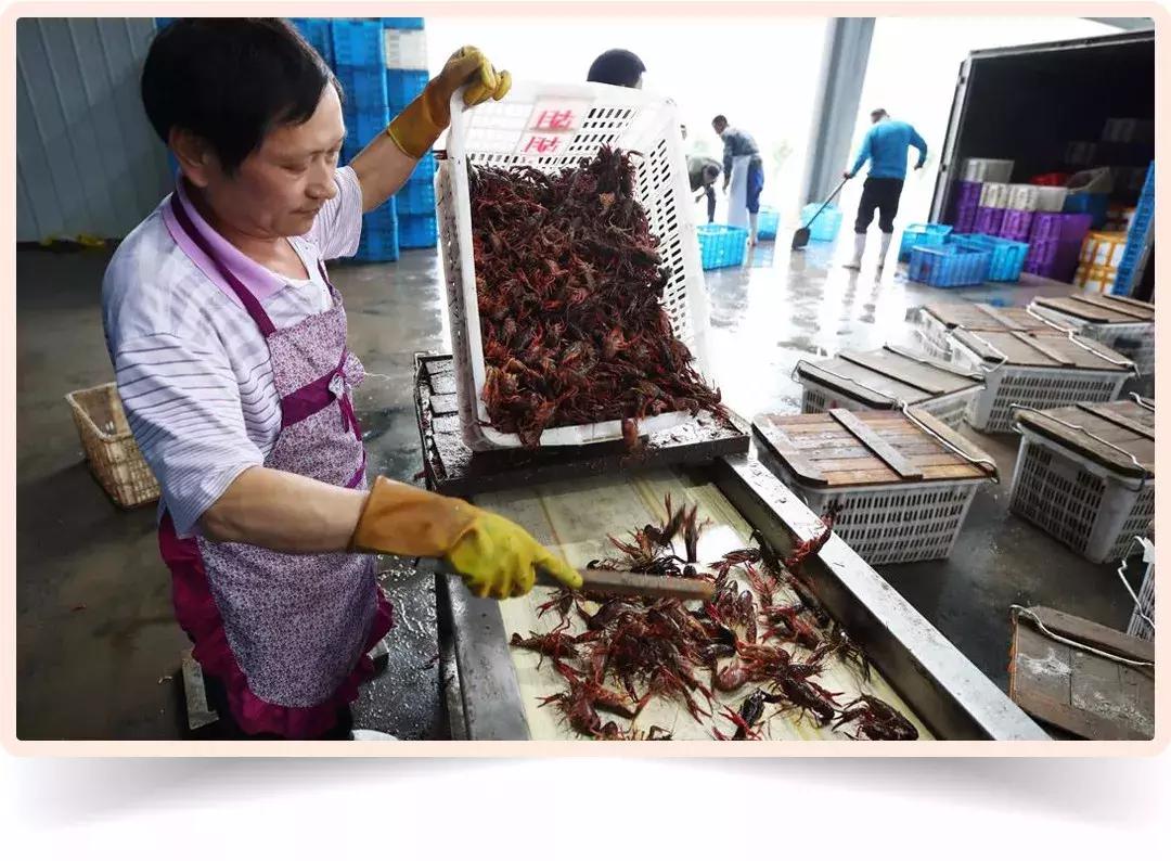 世界杯中国足球高光时刻,中国世界杯第几强2002