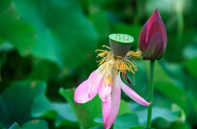 李商隐最感人的十首诗,李商隐最浪漫的一句诗