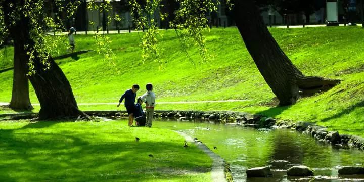 日本北海道大学是什么档次,北海道大学世界排名