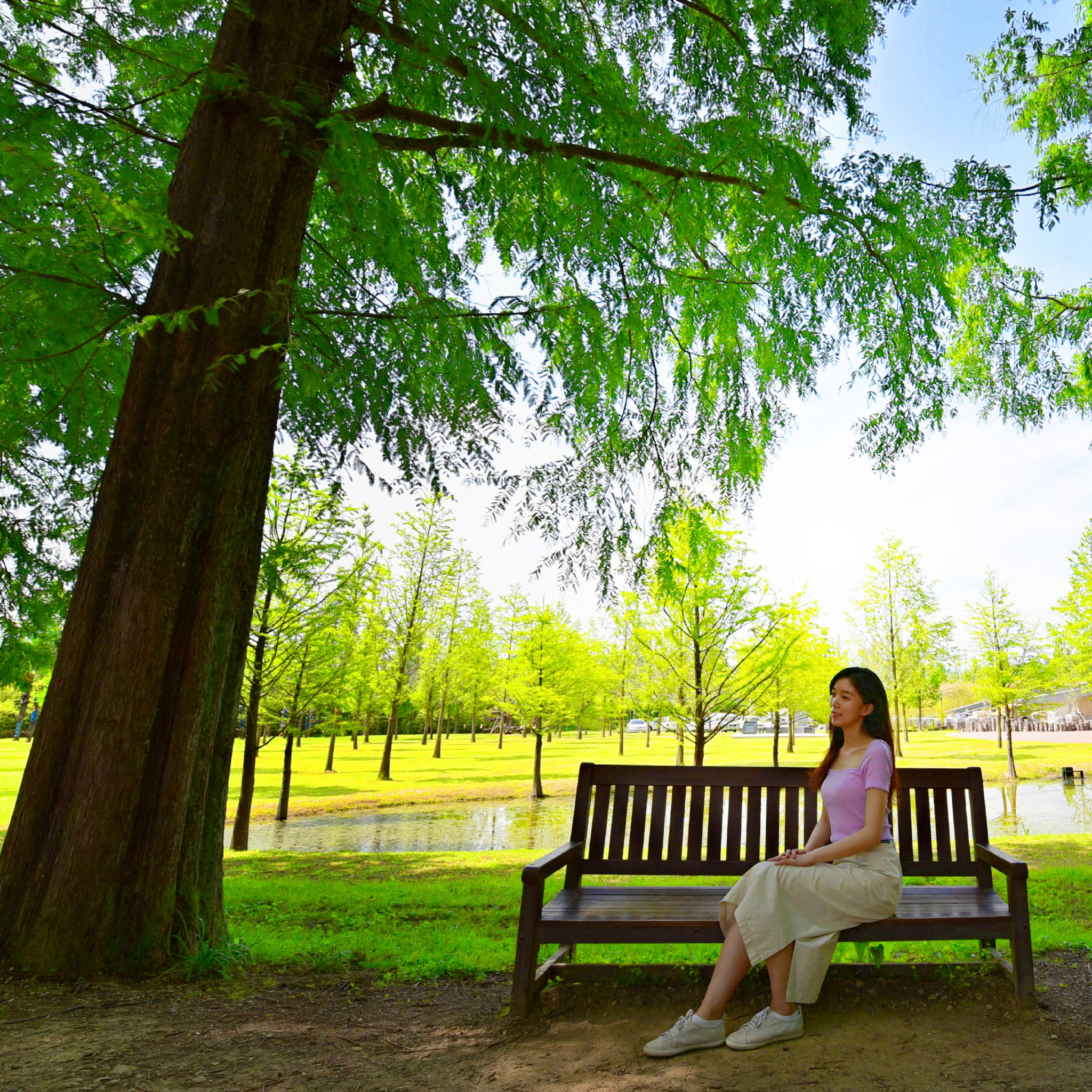 韩国公认最好看的韩剧,韩国最好看的电视剧排行榜第一名