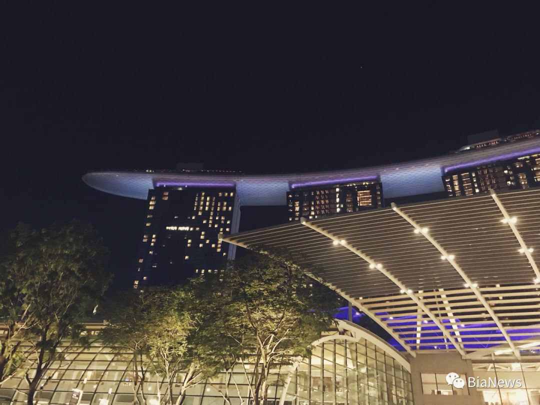 新加坡区块链最新状况,新加坡区块链事件