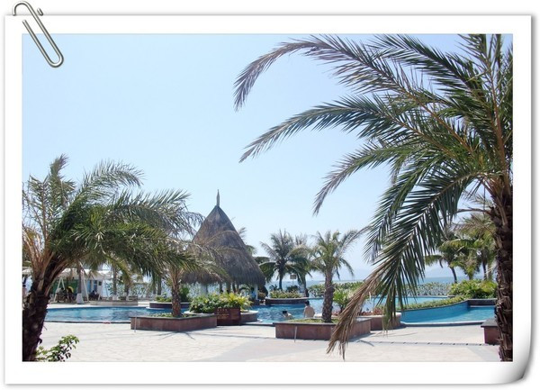 带着梦想去远行视频,带着梦想出发走过春夏秋冬