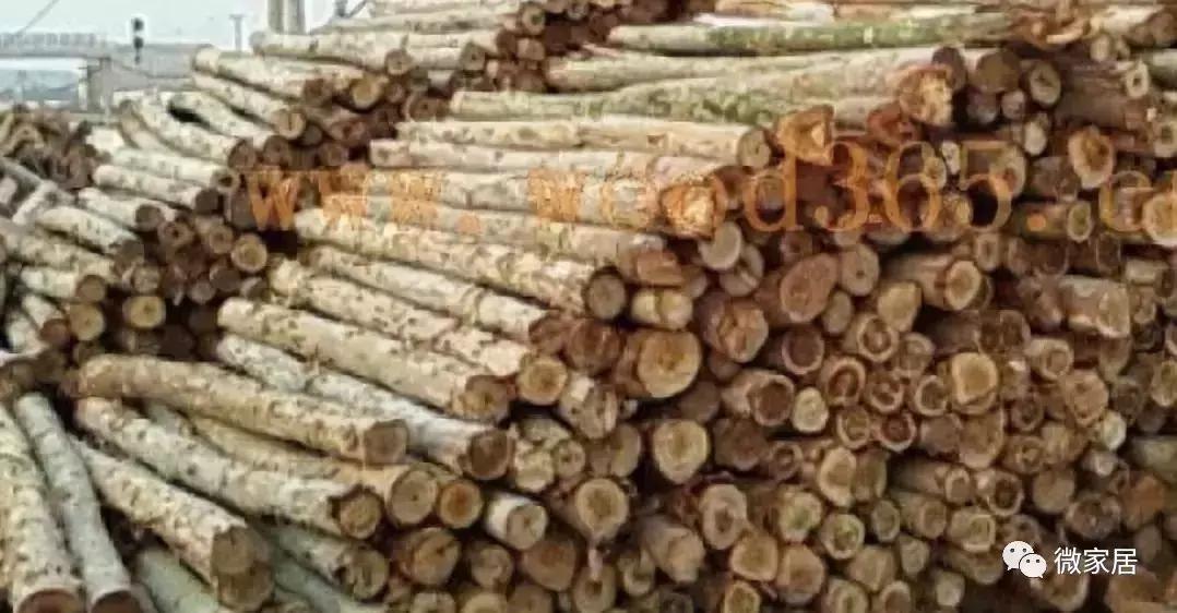 木材开裂的原因及解决方法,木材收边怎么处理