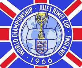 俄罗斯世界杯有退赛的吗,俄罗斯世界杯了吗