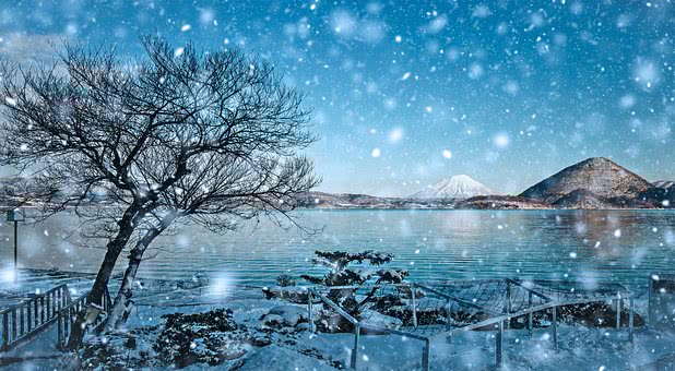 飞花令的诗词大全100首,飞花令含归的诗句100句