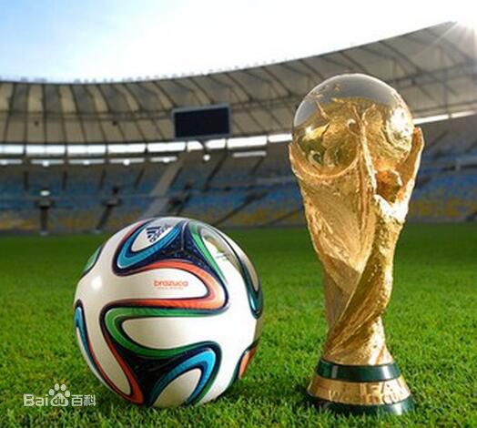 俄罗斯世界杯有退赛的吗,俄罗斯世界杯了吗