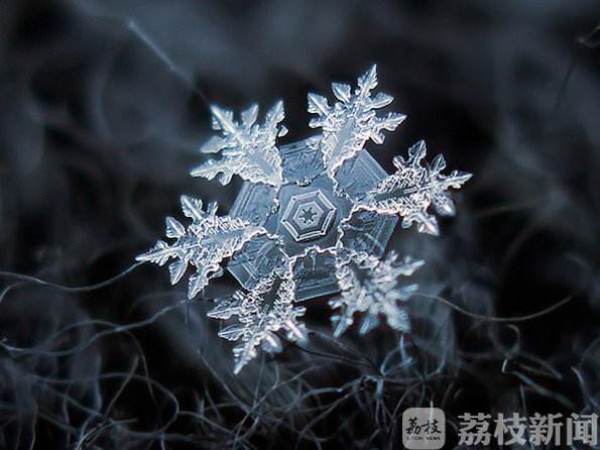 自主招生常识题,学习自主招生题