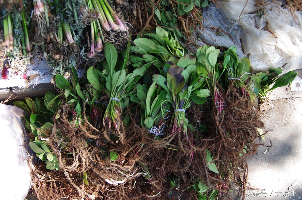 相机记录德昌端午节19年传统端午在大凉山非常火爆今年县政府主办值得期待