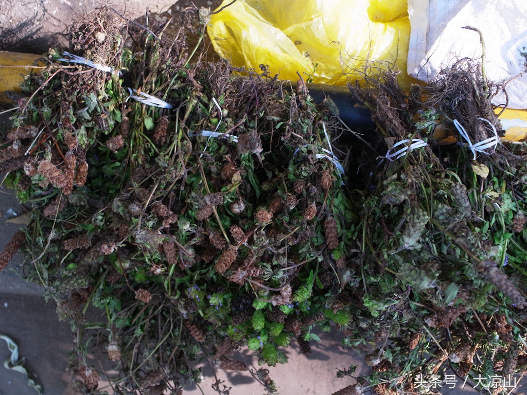 相机记录德昌端午节19年传统端午在大凉山非常火爆今年县政府主办值得期待