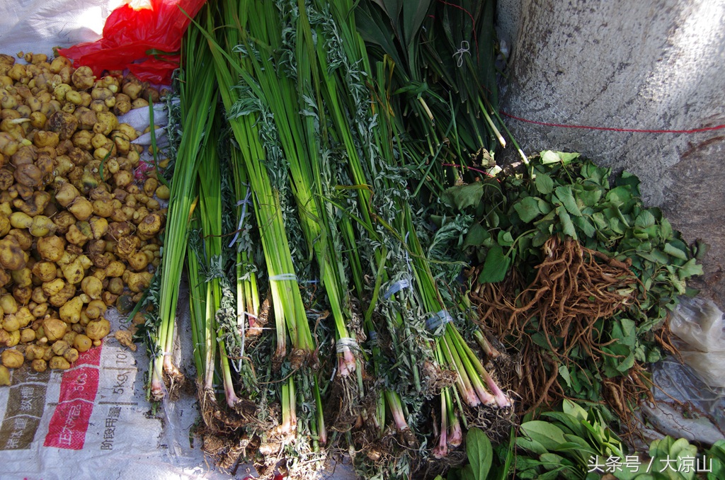 相机记录德昌端午节19年传统端午在大凉山非常火爆今年县政府主办值得期待