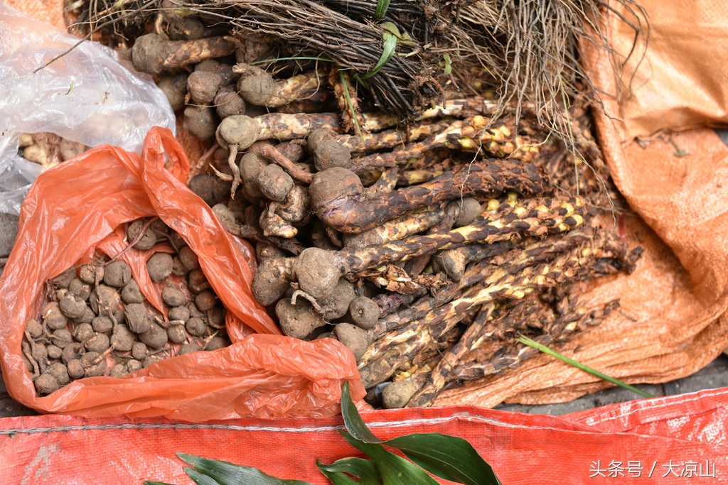 相机记录德昌端午节19年传统端午在大凉山非常火爆今年县政府主办值得期待