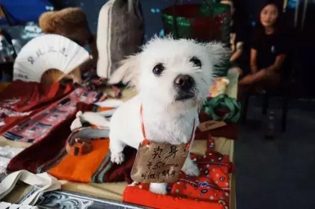 你不知道的海边游玩,三亚小海岛游玩