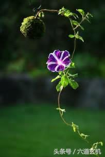 活得清醒又糊涂,人活到极致就是素静与纯简