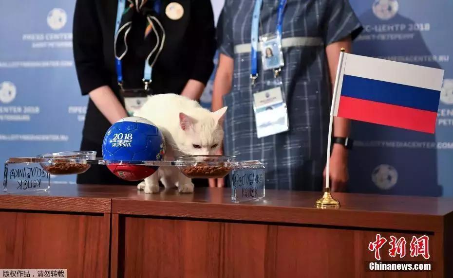 世界杯开赛日看点,世界杯今日赛事指南