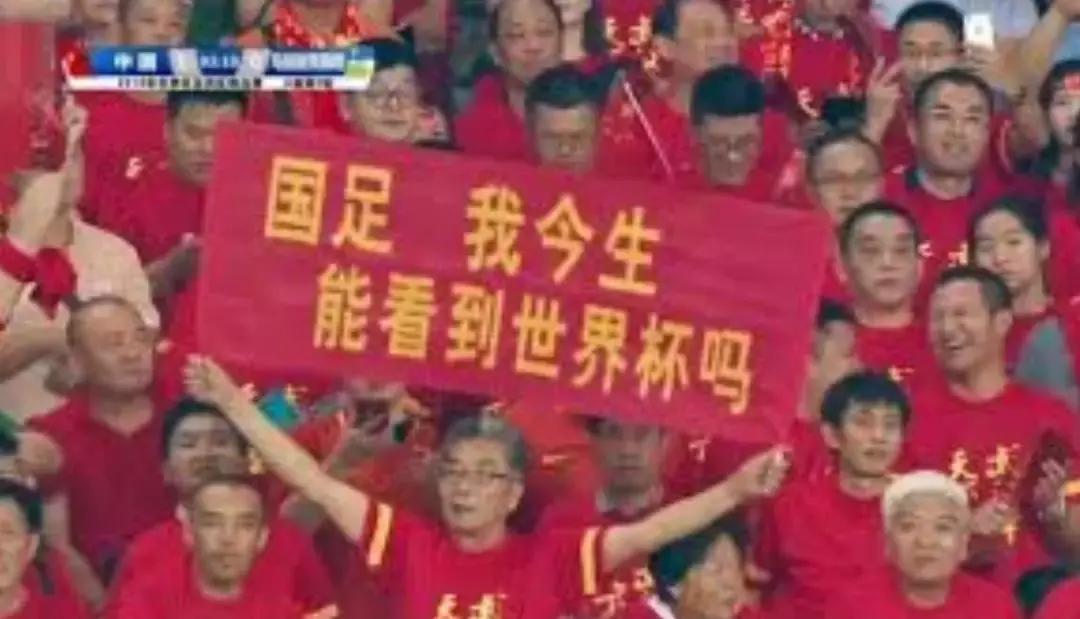 没想到，代替国足“征战”世界杯的，是10万只小龙虾……