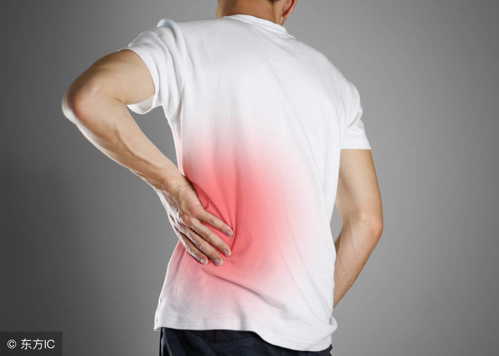 腰痛喝什么中药泡茶,腰酸腰疼煮什么茶