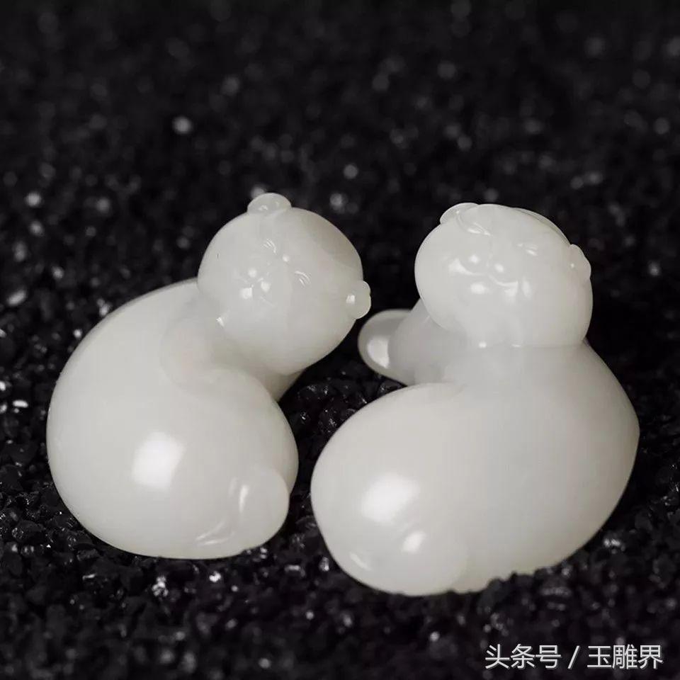 呆萌玉宠来袭，每一只都能玩一辈子！