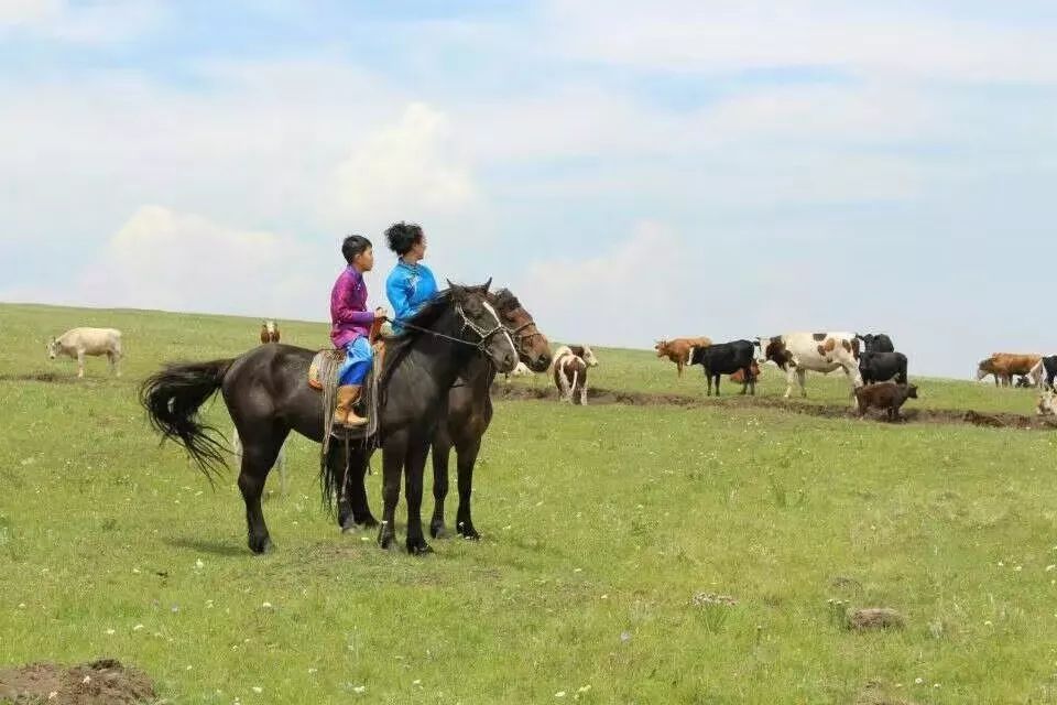 马妈妈再给我一次免疫力