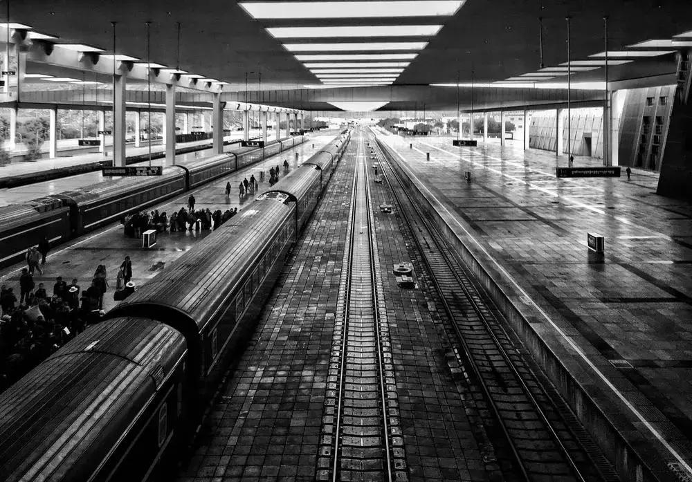 熊猫摄影拍摄技巧,熊猫摄影图片大图