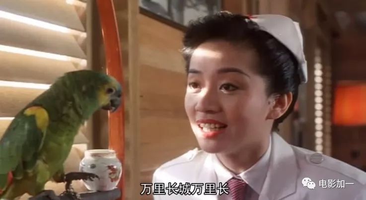 天王盖地虎，影视剧中的接头暗号，都接的上厉害了！