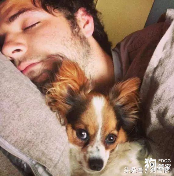 以前养狗和现在养狗的区别,为什么女生比男生更适合养狗