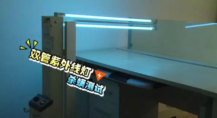 孩子也没感冒突然就开始咳嗽,孩子打喷嚏流鼻涕但没有感冒