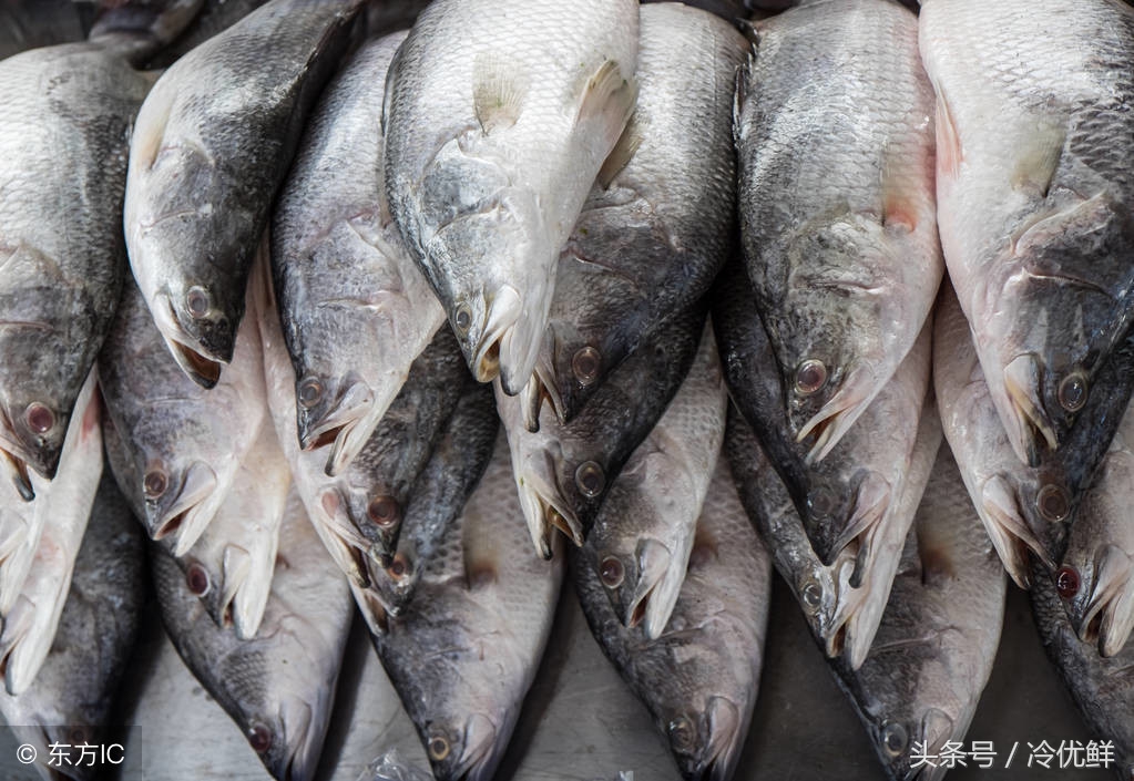 冰鲜鱼怎么卖,市场常见的冰鲜鱼