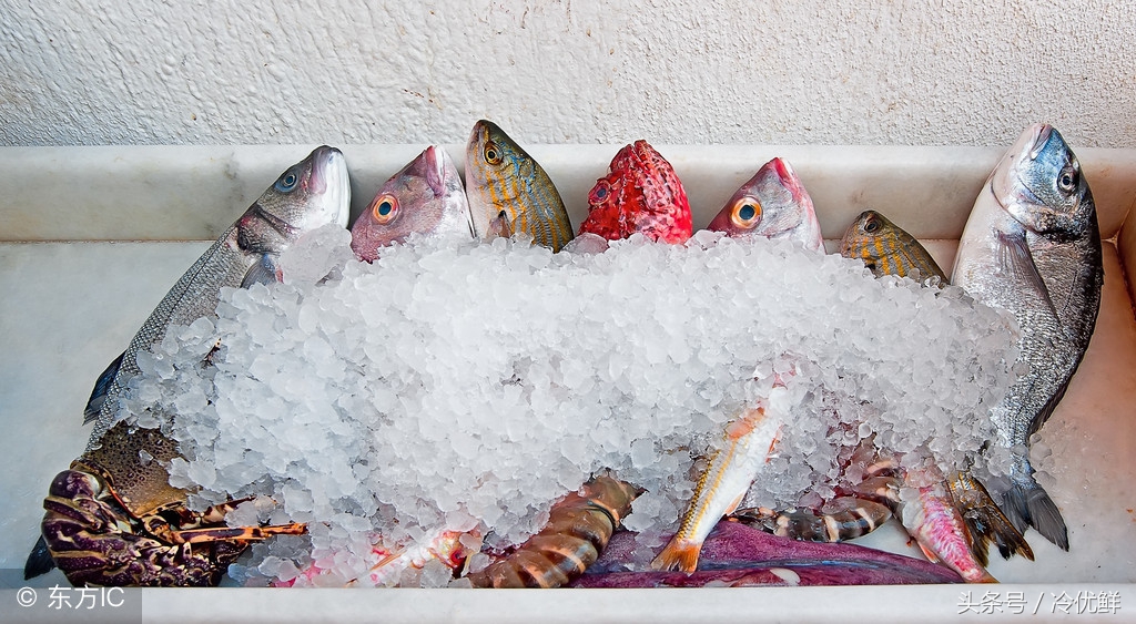 冰鲜鱼怎么卖,市场常见的冰鲜鱼