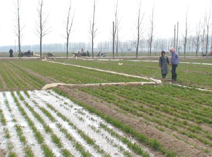 种竹子一年赚几千万,种竹子能赚钱吗农村