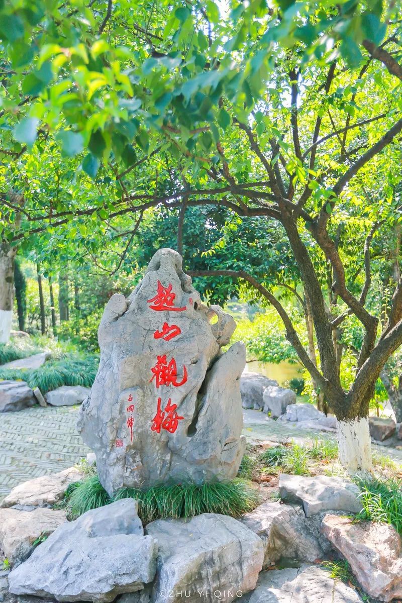 隐藏杭州的温柔时光，还有齐白石的老师隐居的山林｜塘栖