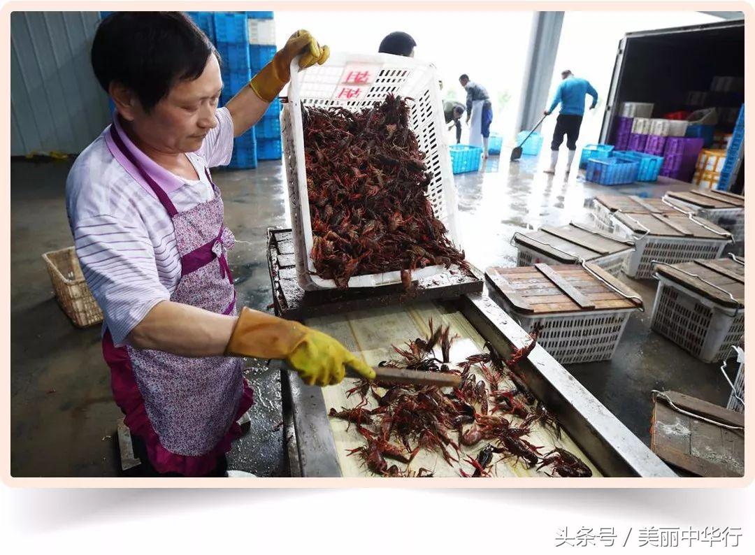 2018世界杯中国止步,2018年世界杯中国参赛了吗