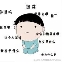 世界杯足球与和平,世界杯足球如何