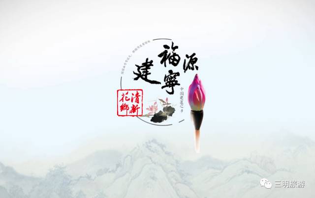 都挺好全网爆火,都挺好全网搜