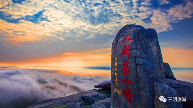 都挺好全网爆火,都挺好全网搜