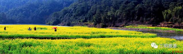 都挺好全网爆火,都挺好全网搜