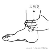 一撮六月“神仙草”，助眠补肾防蚊咬！只花几块钱，整个夏天没病扰