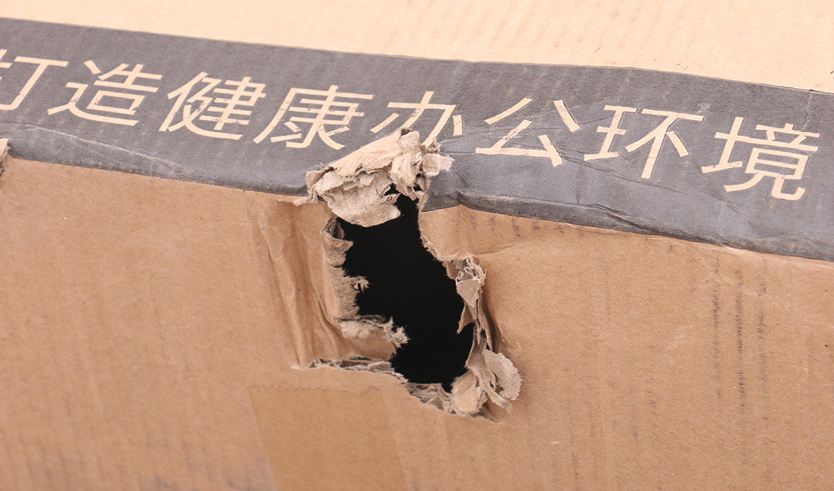 换张椅子过夏天，达宝利DY101人体工学椅开箱分享