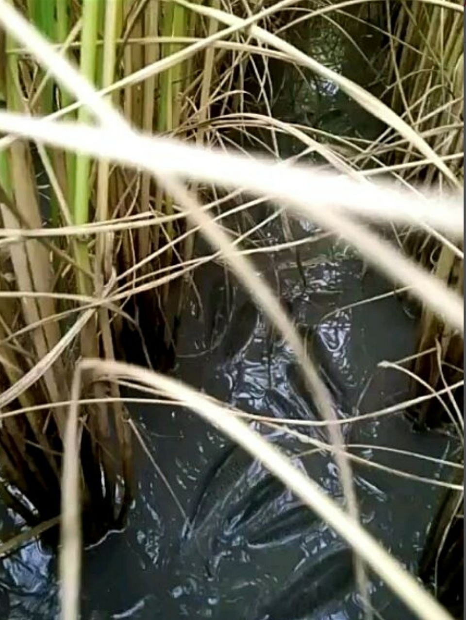 打工想发财有什么门路,一个年轻人的致富思维