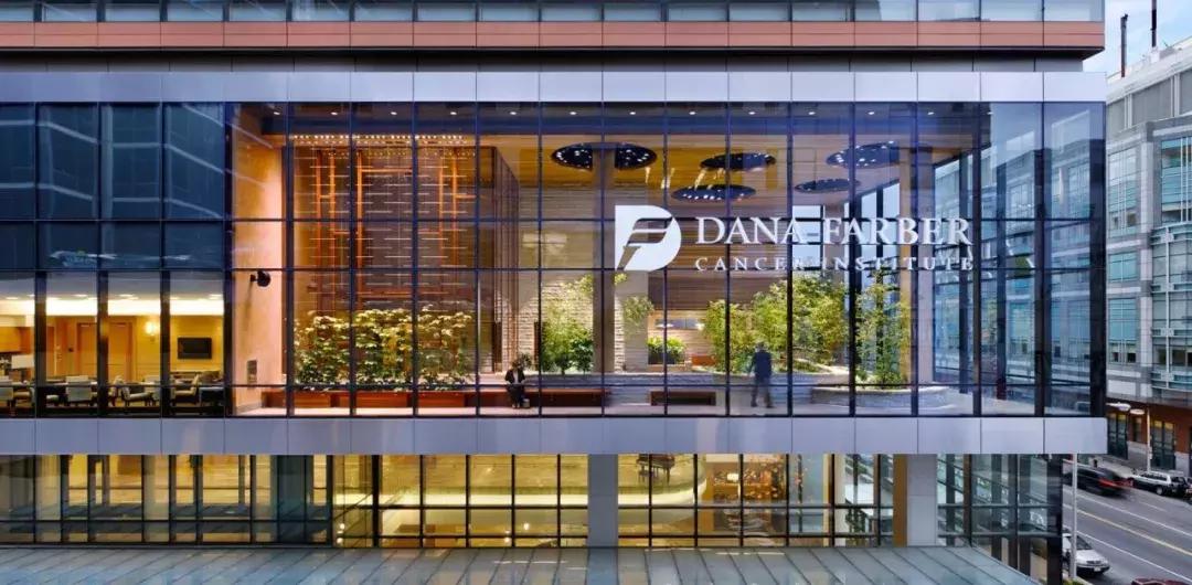 冷肿瘤和热肿瘤区别ph值,肿瘤发热治疗指南