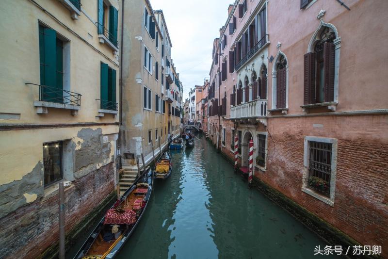 风情万种的威尼斯,因物价太高遭本地人吐槽:旅游害了我们