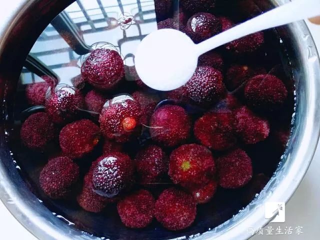 杨梅里面的虫子是怎么来的,樱桃杨梅有虫子