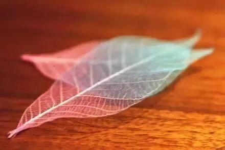 快看！极简中外厕所史，亮瞎双眼，笑到流泪！